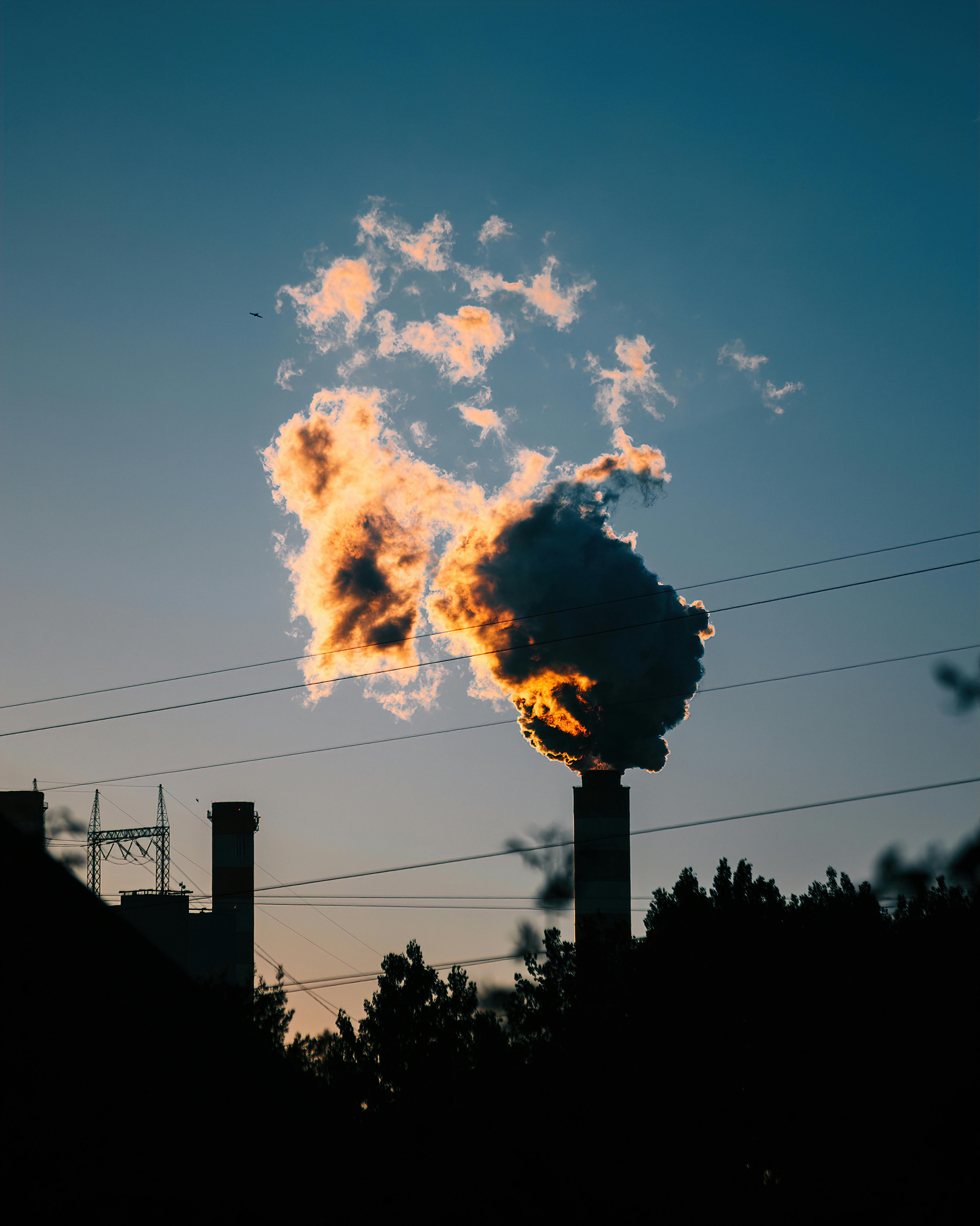 Carbon Footprint